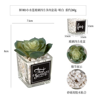 ����Сˮɏ�N�����N�������������� ����[������ֲ���ʯ������