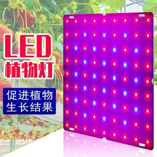 Դ�^���SLEDֲ�����L�������Ӱ�ֲ���LED�҃�ȫ���V�Nֲ���a���