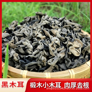 �ľ��ľ����؛��ɽ��Ұ��ȥ�����С����������ʳ�����l