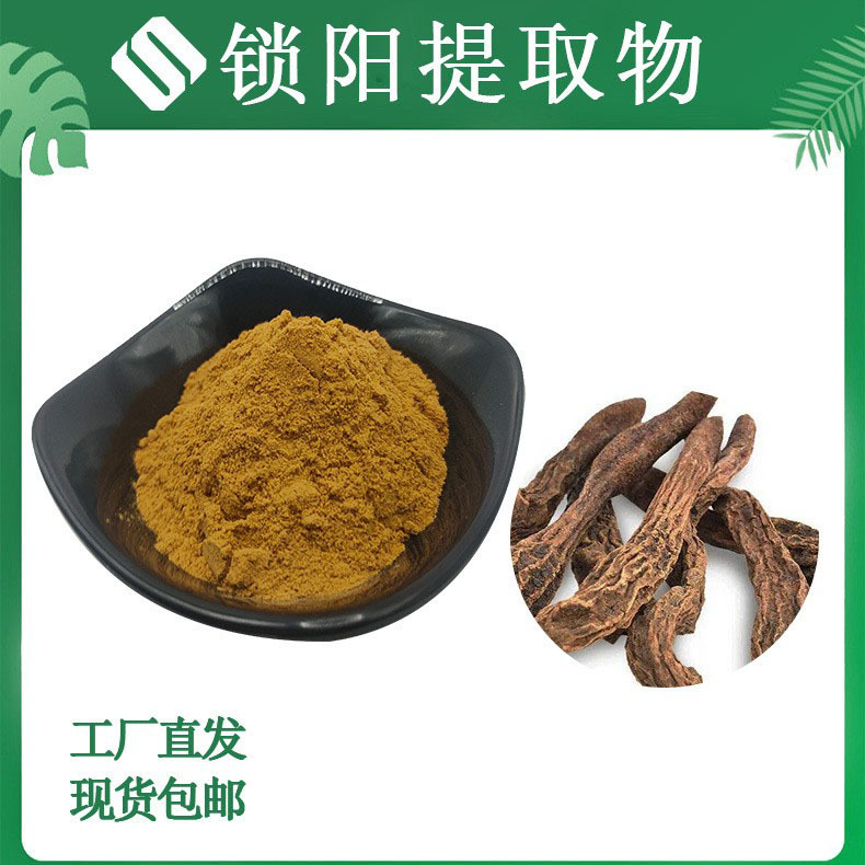 锁阳提取物10:1 免费拿样 水溶性粉末 三方检测 SC工厂