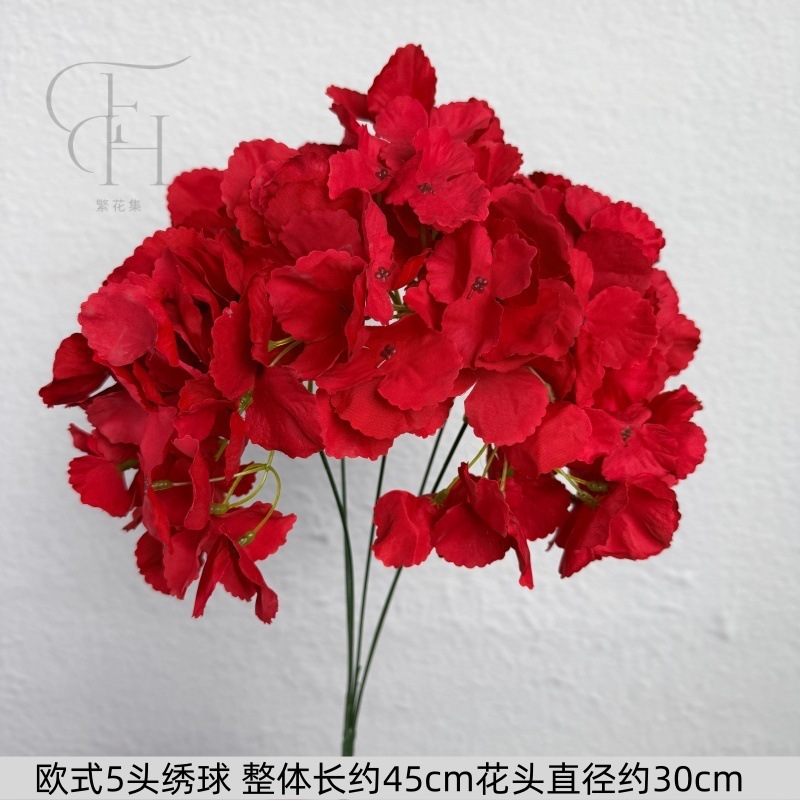 Hortensia Europea de 5 cabezas