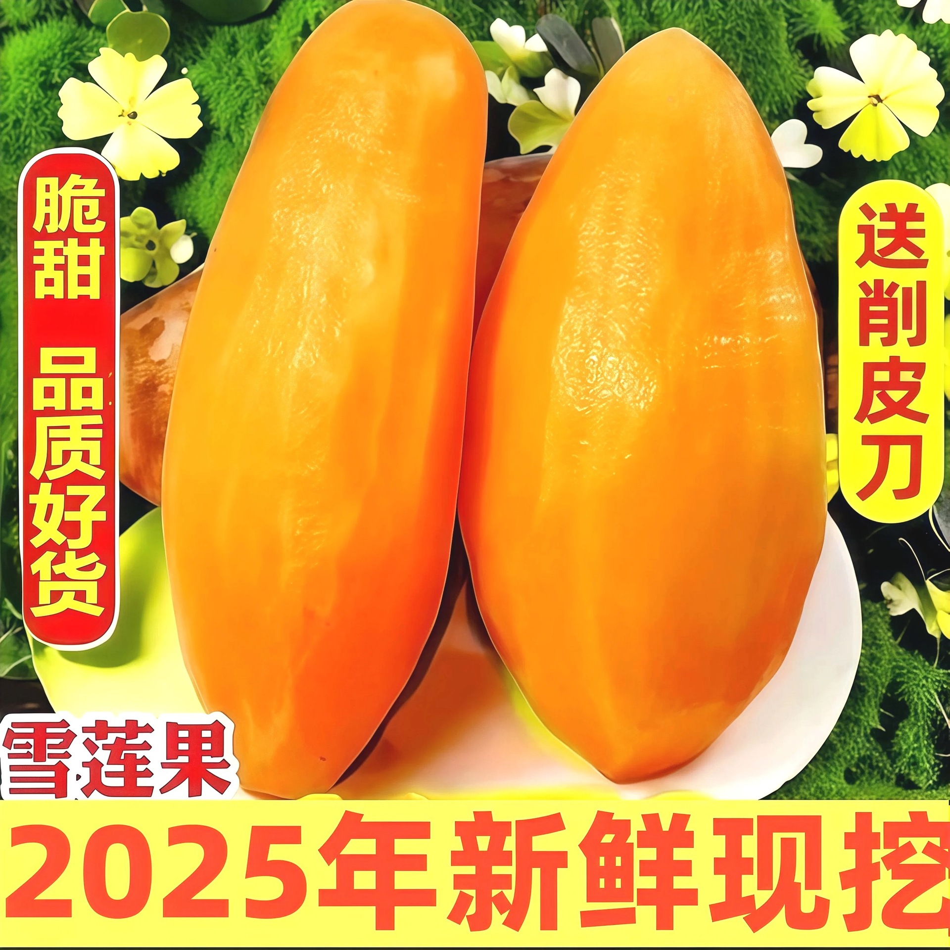 正宗云南天山雪莲果黄心红特级当季新鲜水果雪连长果整箱大果代发