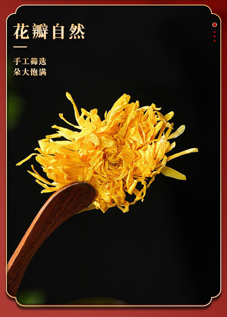 Golden Silk Chrysanthemum Tea Jin Si Huang Ju 100 Whole Flowers Large Bloom Herbal Tea in use
