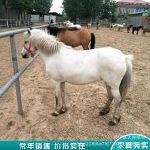 �T���R�㘷�����^���R ��܇�R�R���R���R���R���ۻ��wҕ�l�x�R