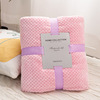 Unstamped Solid Merbau Blanket Levin Law Mesh Coral winter thickening Blanket Cross border Babe