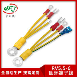 4平方电线 内孔6.2黄绿接地线 6.3插簧连接线 RV5.5-6圆环端子线