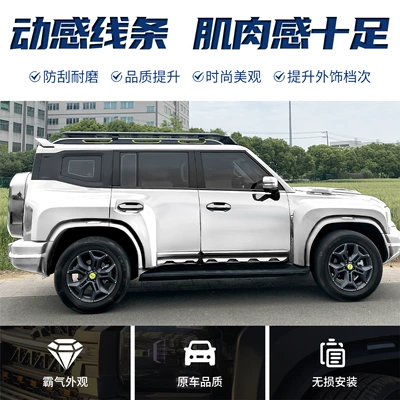 Guardian Body Kit, Big Surrounded