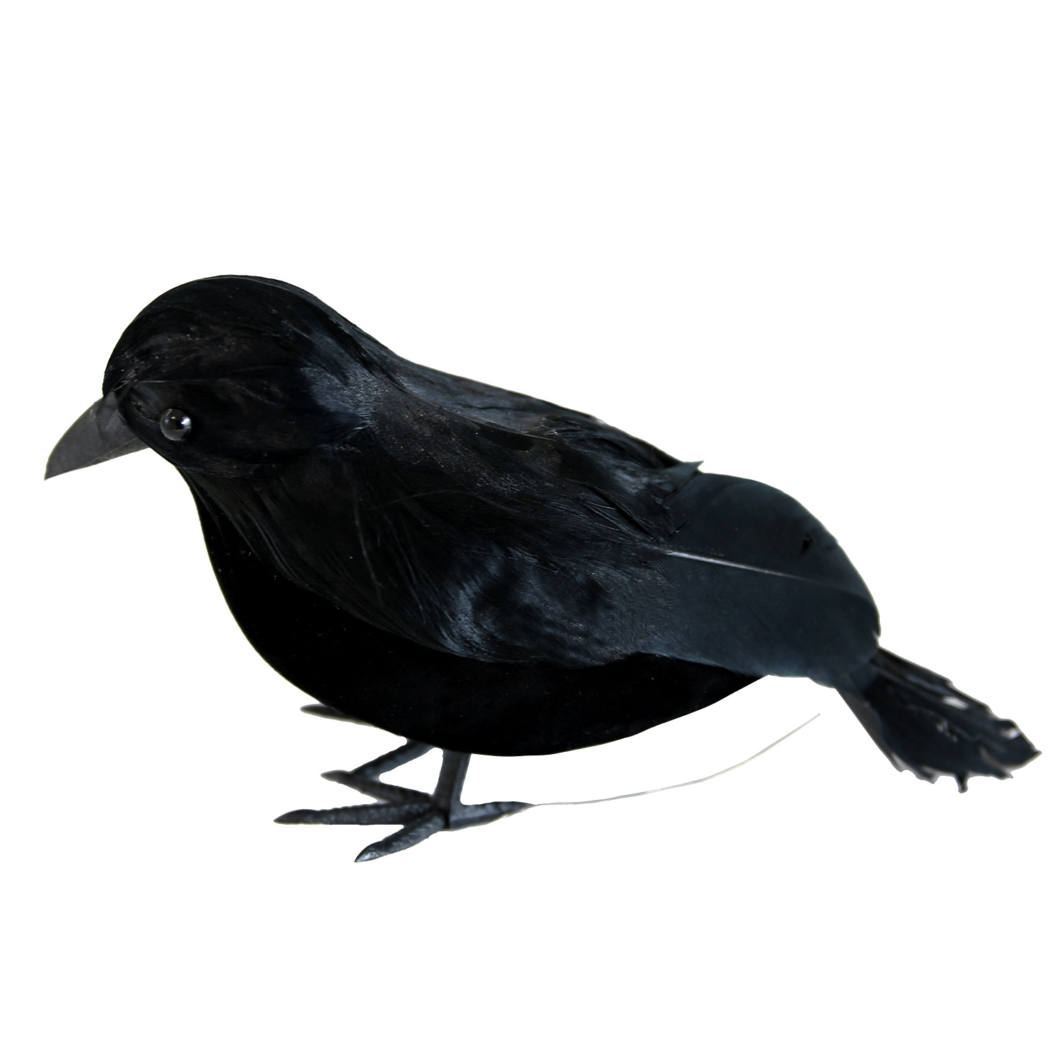 ST331 черная ворона