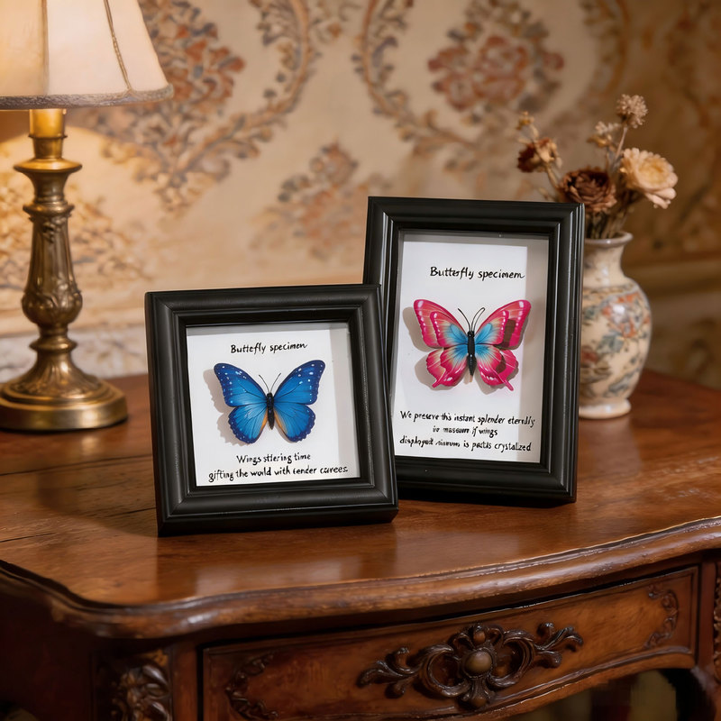 Amazon Specializes in Butterfly Specimen Photo Frames 6inch 8inch 10inch A4 Student Gifts Hollow Three-Dimensional Wooden Display Frame