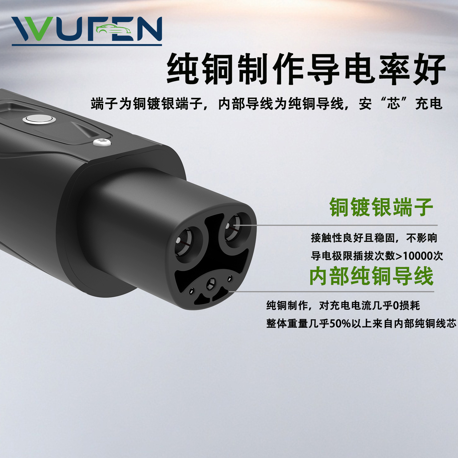 国转特斯拉4