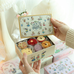 Bunny Lulu兔子插畫長方形直角曲奇餅乾鐵盒子烘焙喜糖盒禮物空盒