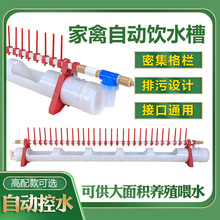 新款自动饮水器鸡用饮水槽喂水喝水鸭子鹅养殖设备鸡厂普拉松水壶