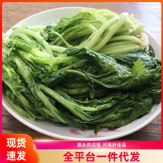 雪里红咸菜腌制雪里蕻爽口腌菜正宗下饭菜大缸腌制盐渍雪里蕻腌菜