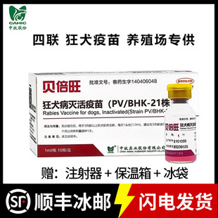 ����ؐ������Ȯ���繷������������猙�������Bֳ���A������l