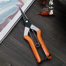 张小泉剪刀家用园林剪稀果剪果树剪细枝剪绿化修剪果实剪子果蔬剪