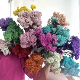 鲜花花艺制品;永生花;干花
