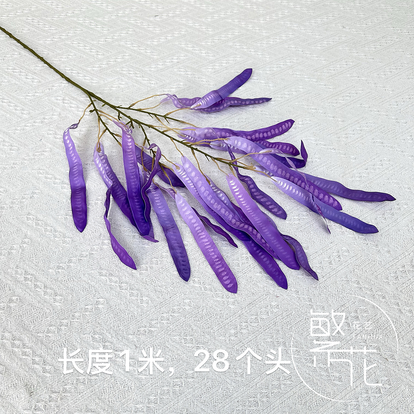 보라색 콩 꽃