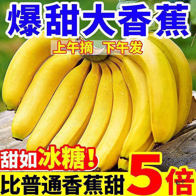 W 5kg High Mountain Large Bananas, Seasonal Fresh Fruit, Plantain Bananas, Sweet and Delicious, Free Shipping for 5 Whole Boxes, 1.0kg Batch