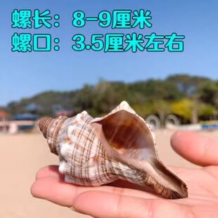 �ľ�з��Q����Ȼ���ݚ����������~��ؐ�~��ؐ���~���b��쾰�[��