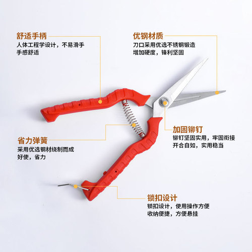 Factory wholesale pruning shears multi-function branch scissors floral scissors stainless steel grape scissors gardening garden scissors