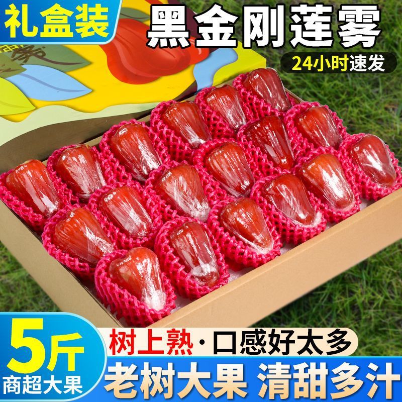 Shunfeng Black Diamond Wax Apple fresh tropical fruit full box seasonal extra large fairy fruit crispy sweet wax apple pregnant woman gift box