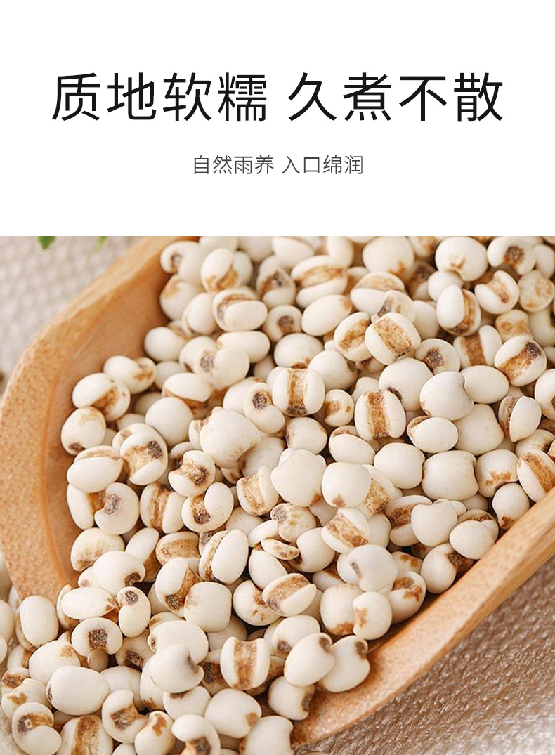 Dried Coix Seed 500g Yi Mi Ren Job's Tears Grain for Soup and Congee specifications