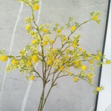仿真单枝冰岛水芹金合欢相思树 家居样板间婚庆饰品设计插花配材