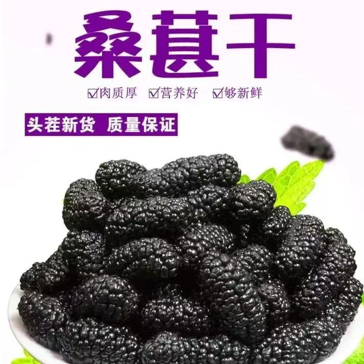 代发精选大颗粒新疆黑桑葚椹干头茬新鲜泡茶泡酒无沙现摘优质桑葚