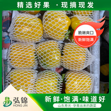 �۹����r��ʽ��� �r�ҟ��\�� ΢���������ԬFժ�F�lˮ����