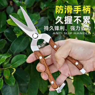 Lin Taizuo Long Solid Wood Non-Slip Fruit Picking Scissors Manganese Steel Gardening Pruning Grafting Flower Pruning Rebound Garden Scissors