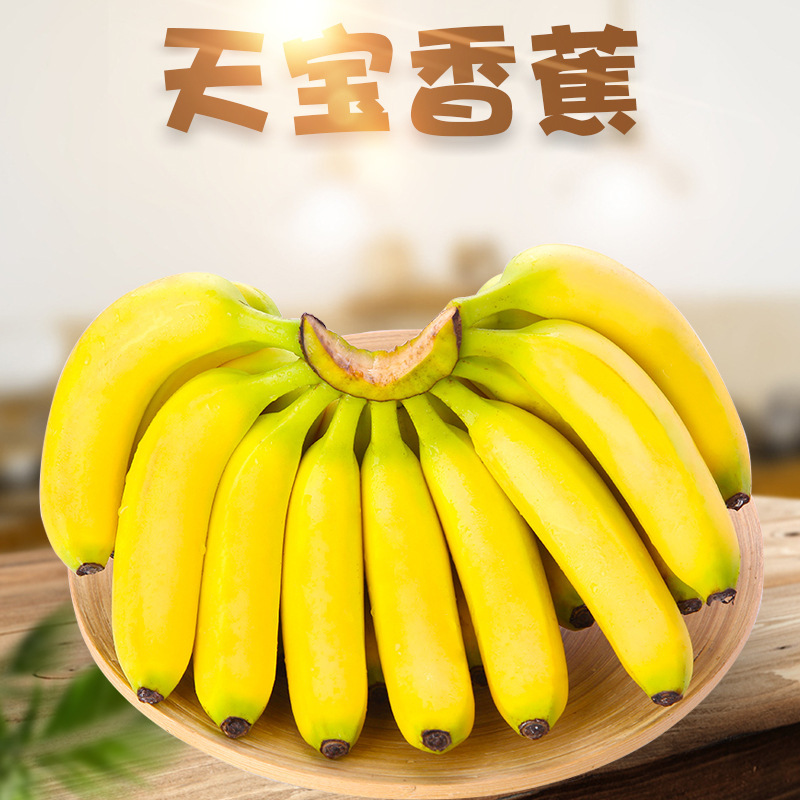 [Year-Round] Tianbao Bananas Direct Delivery 1.5kg Fresh Large Bananas Seasonal Fruit Not Cactus Bananas