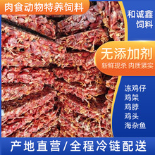 冷冻小鸡仔加工鳄鱼蛇狐狸饲料猫狗零食动物特养饲料