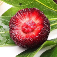 ľͩoї÷|÷޽箔YشϱԹ