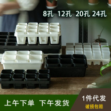 白色方形育苗穴盘苗带托架蓄水透气玉露生石花八角多肉塑料花盆