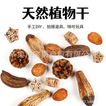 �W�^�Bĥ���ҧ��Ȼ���ҹ���ľâ���ɹ���߻�Ƥ���Pĵ����ʳ��Ʒ