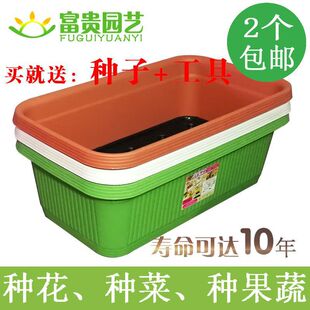 �̨�N���軨�������L�l��̖�L������ĭ�����߲˷Nֲ������|