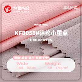 锦纶小星点面料 170g锦氨弹力透气网眼布 吸湿速干运动服针织布料