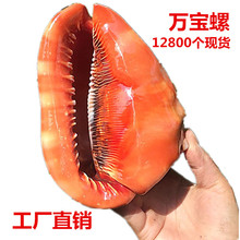 24С�r�l؛ �f���ݿ羳���R�d�������~�׻�c�b���Ȼ����ؐ��