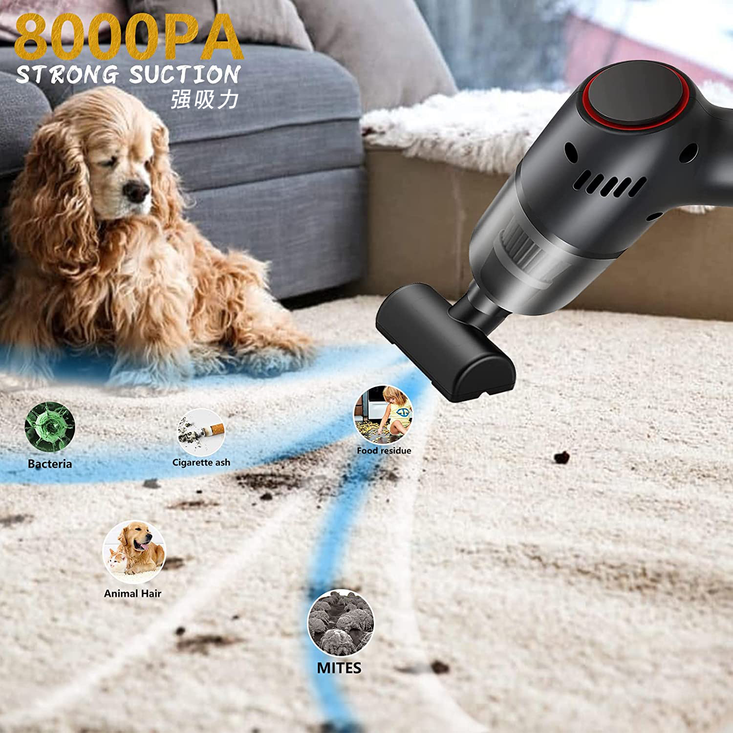 718GgsFBdIL.jpg?x-oss-process=image/format,png