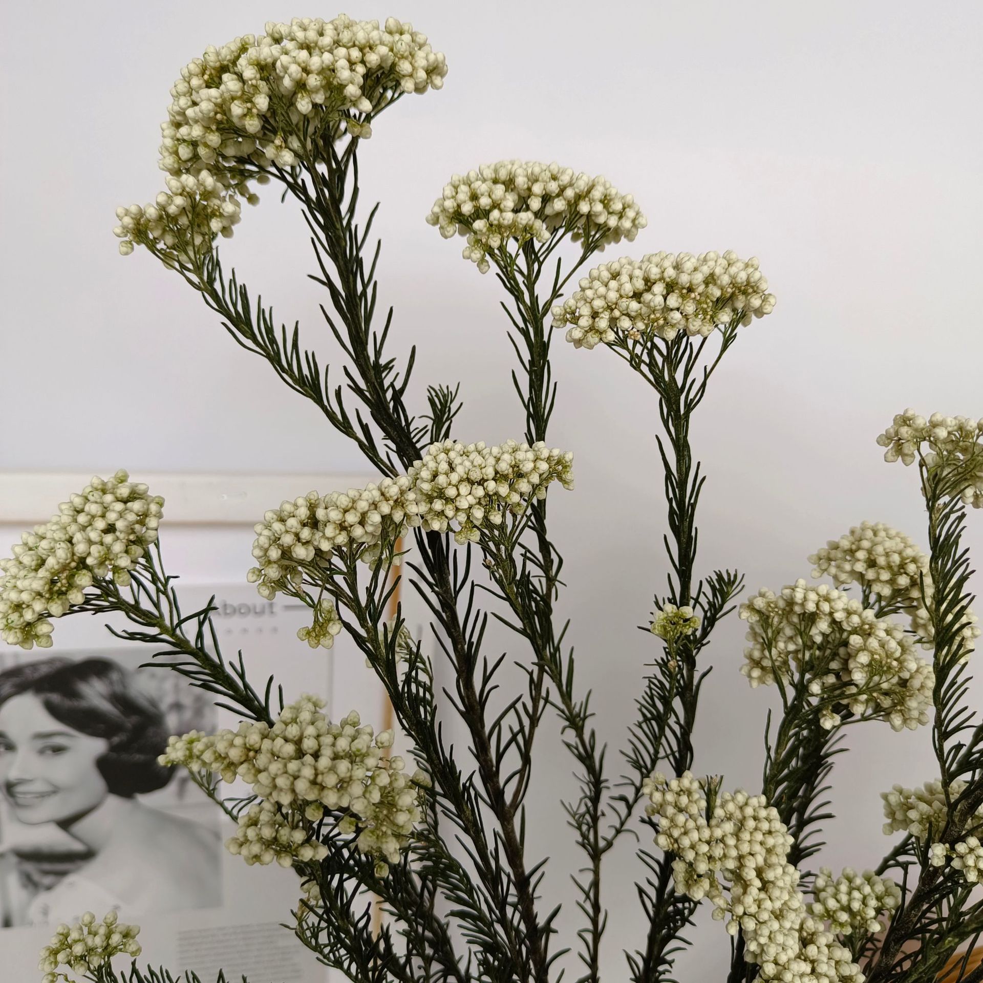 b205811377b0acdbf49bf616c4920a