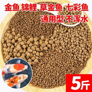 Koi Fish Feed Goldfish Lanshou Fish Food Household Ornamental Fish Universal Color-Enhancing Fish Food Non-Turbid Water Granular Type