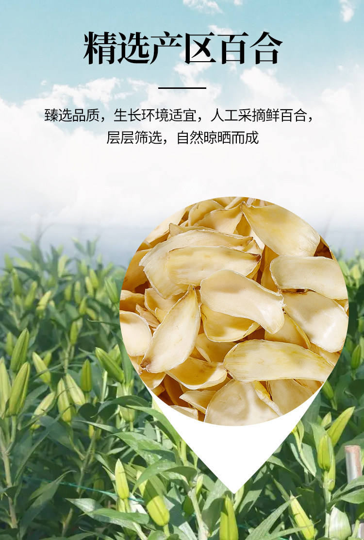 Dried Lily Bulb Bai He 500g Premium Longshan Medicinal Grade Herb overview