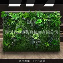 ����ľ���A������ֲ�1ƽ���|�����w����Gֲ���bGɫ�쾰