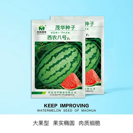蔬菜种子