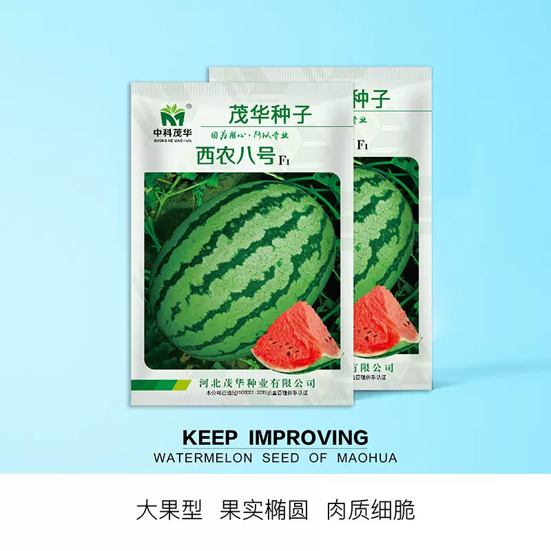 中科茂华水果蔬菜种子西农八号西瓜种子西北农大西农八大果