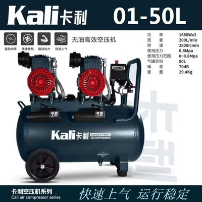 Hava kompressorları Air Pump 220V High Power