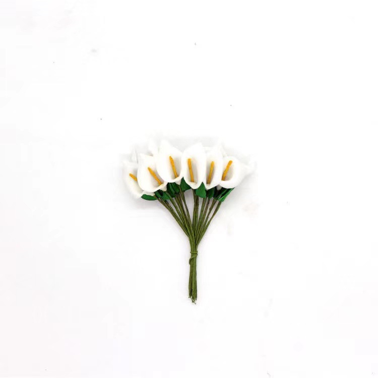 One white calla lily