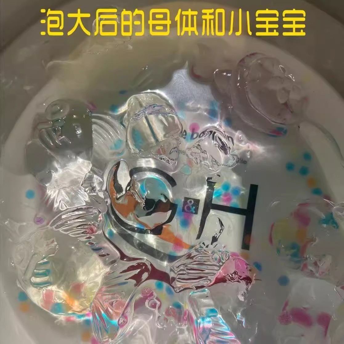 아기를 낳는 동물(무작위로 15개)