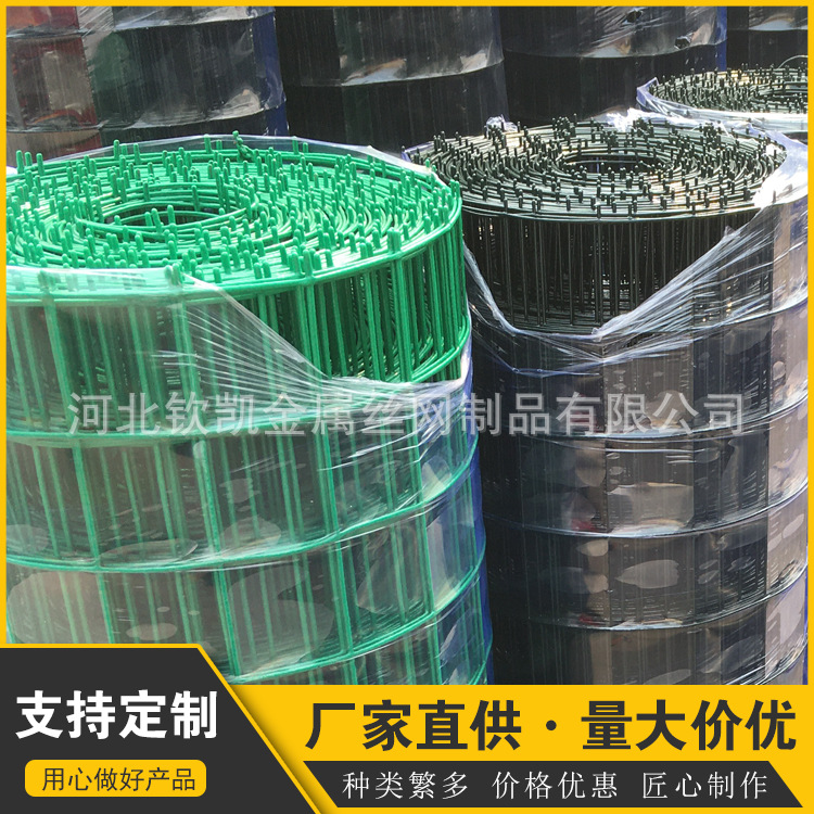 荷兰网主图 2.jpg