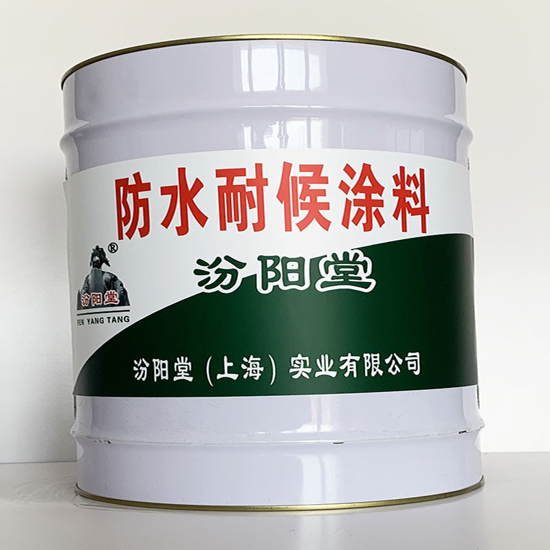 防水耐候涂料、专业销售、防水耐候涂料、选汾阳堂品牌